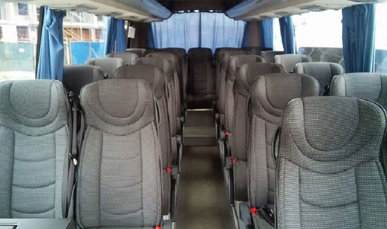 Romania: Coach hire in Satu Mare County in Satu Mare County and Satu Mare