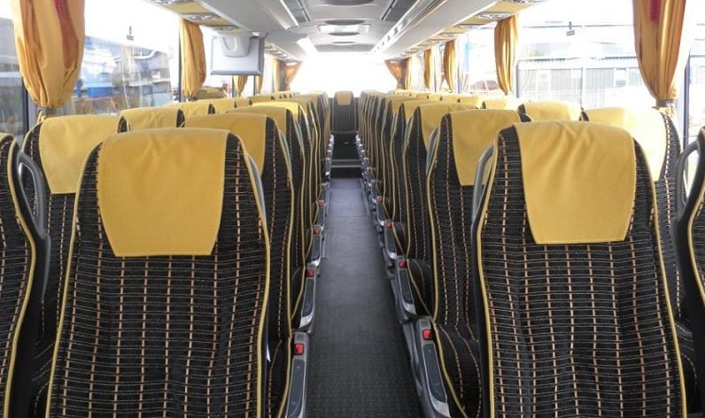 Romania: Coaches reservation in Satu Mare County in Satu Mare County and Satu Mare